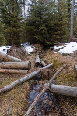 Biraz karlı kış ormanı, küçük bir nehirde devrilmiş ağaçlar. Kış manzarası. Kışın Karkonosze Dağları, Polonya.