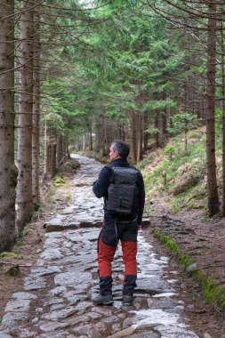 Sırtında sırt çantası olan olgun bir adam ormanda bir patika boyunca yürüyor. 50 yıl sonra aktif yaşam tarzı.