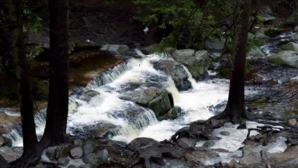 Водопад Горной Реке Природа Река Водопад Лес Зимний День Известный — стоковое видео