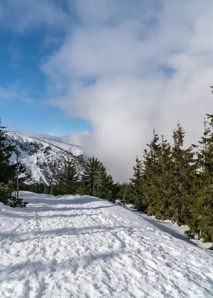 Güneşli bir kış gününde dağların manzarası. Kışın Karkonosze Dağları, Sniezka Dağı, Polonya 