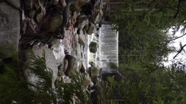 Водоспад Гірській Річці Природа Річка Водоспад Ліс Зимовий День Знаменитий — стокове відео