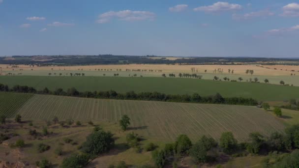 从德国农村绿地 农舍的无人地带俯瞰风景的空中风景 4K格式的高质量射击 — 图库视频影像