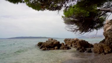 Deniz Burnu. Şeffaf deniz, kıyıdaki dev kayalara çarpan dalgalar. Denizin üzerinde bir çam ağacı asılı. Ufuktaki dağ manzarası. Hırvatistan 