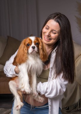 Genç hamile kadın evdeki kanepede oturuyor. Neşeli bir şekilde gülüyor, köpeğiyle oynuyor. Şövalye Kral Charles, Cocker Spaniel 