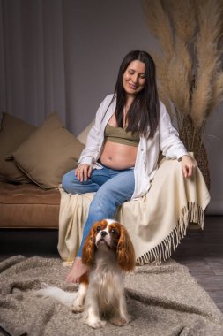 Beyaz gömlekli, kot pantolonlu, göbeği açıkta genç ve güzel bir kadın evdeki kanepede oturup köpeğine bakıyor. Şövalye Kral Charles Cocker Spaniel