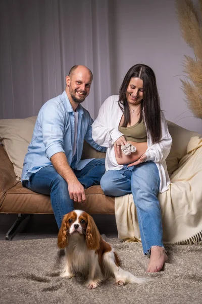Bir aile bebek bekliyor. Bir adam yerde oturuyor, çıplak göbekli hamile bir kadın kanepede oturuyor. O, ellerinde küçük çoraplar tutuyor ve onların yanında bir köpek oturuyor. Şövalye Kral Charles Cocker Spaniel