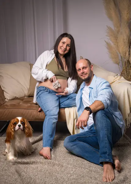 Bir aile bebek bekliyor. Bir adam yerde oturuyor, çıplak göbekli hamile bir kadın kanepede oturuyor. O, ellerinde küçük çoraplar tutuyor ve onların yanında bir köpek oturuyor. Şövalye Kral Charles Cocker Spaniel