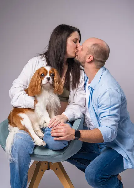 Çıplak göbekli hamile bir kadın cocker spaniel 'i kollarında tutar ve nazikçe kocasını öper.