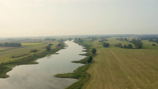 在一个雾蒙蒙的清晨 俯瞰蜿蜒的易北河 绿色的草地和田野 唤醒了大自然 就在德国德累斯顿的旅游城市不远处 — 图库视频影像