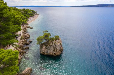 Hava fotoğrafçılığı. Yalnız bir çam ağacı bir kayanın üzerinde büyür. Brela, ünlü, turistik yer, Hırvatistan 