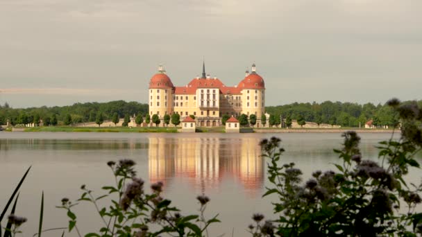 Περίφημο Κάστρο Moritzburg Πάρκο Κάστρο Πάνω Από Λίμνη Αντανάκλαση Του — Αρχείο Βίντεο
