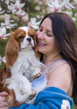 Şirin bir kadın sokakta, parkta, manolya ağacının yanında güzel köpeği Cocker Spaniel 'e sarılıyor. Şövalye Kral Charles Cocker Spaniel. Yakın plan portre 