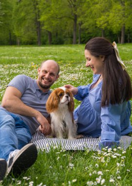 Mutlu hamile çift piknikte evcil hayvan, köpek ve cocker spaniel ile vakit geçirir. Bebek bekliyorum, aşkım.