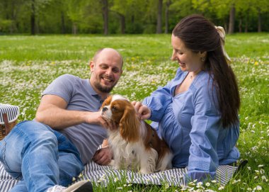 Mutlu hamile çift piknikte evcil hayvan, köpek ve cocker spaniel ile vakit geçirir. Bebek bekliyorum, aşkım..