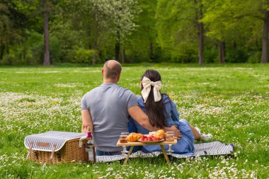 Mutlu hamile çift dışarıda piknikte birlikte vakit geçiriyor. Arkadan bakınca, aile bir çocuk bekliyor. Hamilelik. Birbirinizi sevin