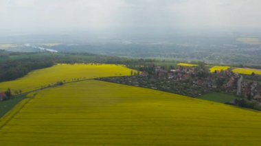 Alman kırsalındaki sarı kolza tohumu tarlalarının hava aracı görüntüsü. Uzaktan bir nehir görülebilir..