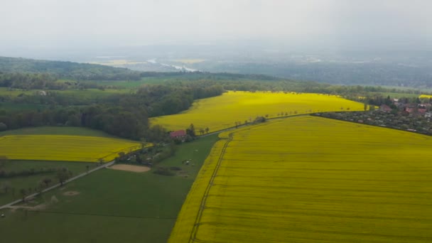 Luchtdrone Zicht Gele Koolzaadvelden Het Duitse Platteland Een Rivier Zien — Stockvideo