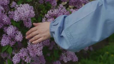 Genç bir kadının eli hafifçe leylak çiçeklerini tutuyor, elini çiçeklerin üzerinden geçiriyor. Bahar çiçeklerinin kokusu, tazelik