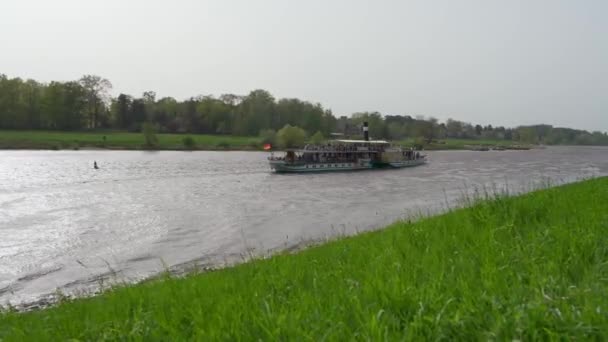 Великий Туристичний Човен Пливе Вздовж Річки Ельба Місті Дрезден Німеччина — стокове відео
