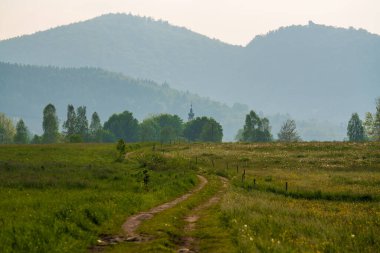 Güzel doğa manzarası. Köy yolu, çayırda yeşil çimenler, açık mavi gökyüzü. Ufuktaki yüksek dağlar. Polonya. Karkonosze. Krkonose Dağı (Karkonosze), Polonya.