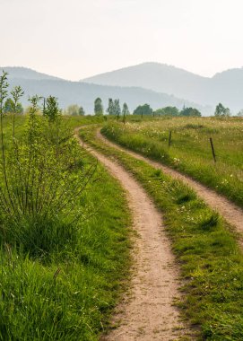 Doğanın güzel manzarası. Kırsal yol, yeşillikli tarlalar, yemyeşil otlar, otlaklar. Uzaktaki güzel dağlar. Tarım arazisi. 