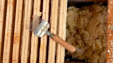Bir alet - bir çatal - balmumu kapaklarını santrifüjden bal çıkarmadan önce baldan ayırmak için. Arıcı 'nın aleti bir balmumu yığınının üzerinde yatıyor. Apiary, bal üretimi