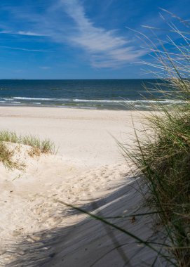 Baltık Denizi, Kumsalda kum tepeleri, deniz