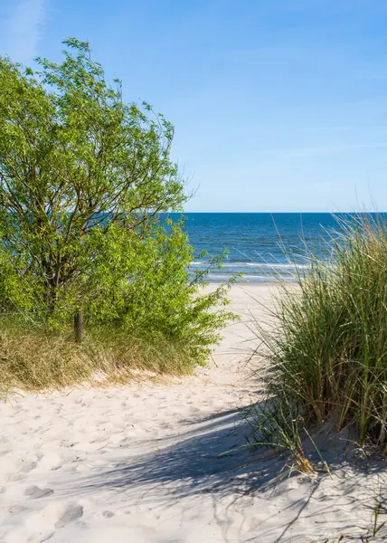  Baltic sea beach without people, coastal dunes with beach grass, Usedon island, Germany