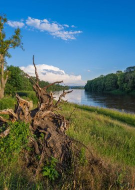 Nehrin çıkıntıları arasından güzel bir manzara, yeşil, kalın çimenler. Mavi gökyüzünde büyük bulutlar var..