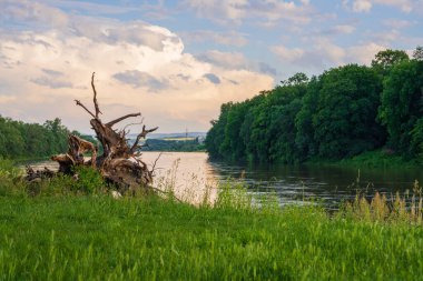 Gün batımında nehirin güzel manzarası 