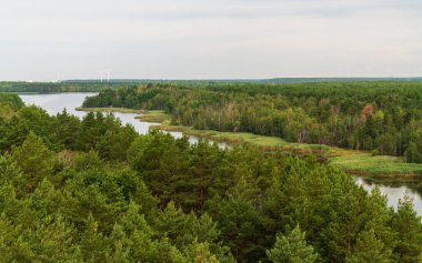Senftenberg Gölü 'nün hava aracı, yeşil ormanlar. Senftenberg Gölü Brandenburg Almanya. Doğanın güzelliği