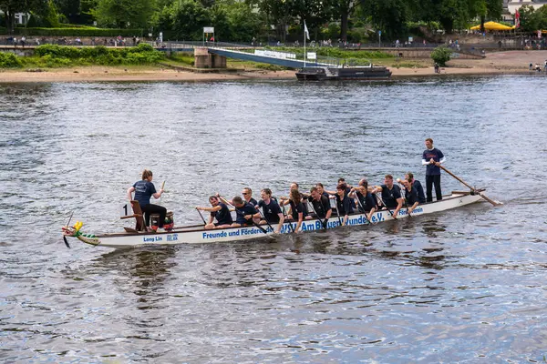 stock image Dresden, Saxony, Germany.06.15.2024 Exciting dragon boat racing. 31st Dragon Boat Festival in Dresden. Dresden Dragon Boat Festival started in 2019. Holiday for  whole family