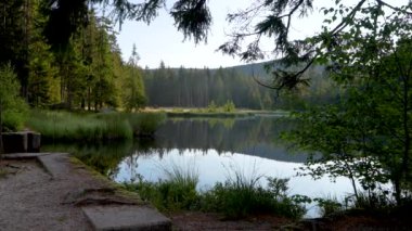 Ormanda sabah oldu. Ladin ormanında küçük güzel bir göl. Eski ahşap köprü. Fichtelsee, Bavyera, Almanya 