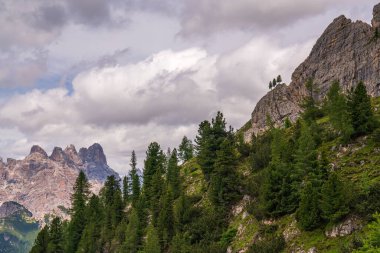 Güzel dağ manzarası. Dev kaya tepeleri, dağları kaplayan yeşil orman. Koca bir kayanın üzerinde üç ağaç tek başına büyür. Dolomitler turistler ve dağcılar için favori yerlerdir. İtalya.