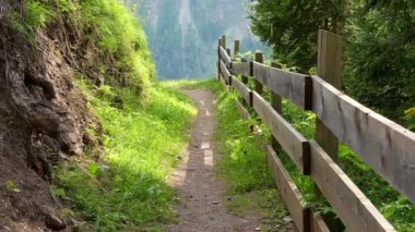  Tahta korkuluklarla dağlarda yürüyüş yapmak. Güneş ışığı patikaya düşer, çimenler güneşte parlar. Güneşli bir gün. Hoe Tauern. Grossglockner Ulusal Parkı. Avusturya. Yürüyüş, turizm, seyahat 