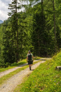 Sırt çantalı kadın dağ tepeleri olan yolda. Turistin arka görüntüsü. Kayalar, tepeler, yeşil çimenler. Grossglockner. Hohe Tauern Ulusal Parkı, Avusturya. Yürüyüş 