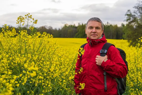 stock image A man in a red raincoat walks through a blooming yellow rapeseed field. A field of fresh rapeseed after the rain. Active lifestyle, hiking. Eco tourism 