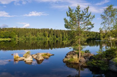 Ormanda küçük bir göl. Ön plandaki kayalar suda, ağaçlarda. Yüksek kalite fotoğraf. Fichtelsee, Bavyera, Almanya