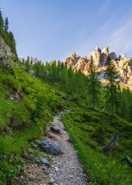 Dağlara doğru yürüyüş parkurunda. Güneşli bir yaz günü. Dolomitler. İtalya. Yürüyüş, turizm, seyahat