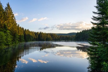 Kozalaklı ormanın ortasındaki küçük bir göl. Su ağaçları, bulutları, gökyüzünü yansıtır. Yüksek kalite fotoğraf 
