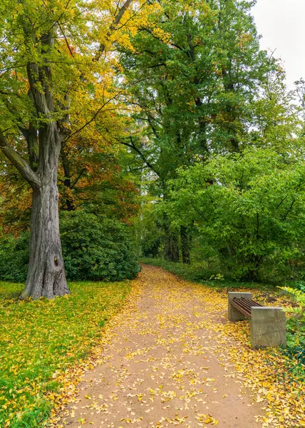 Parkta sonbahar. Ağaçların arasında bir patika. Tatilciler için yedek kulübesi. Güneş ışığı ağaçları aydınlatır ve yavaşça yola düşer. Şehir parkında ilk sarı yapraklı güzel bir ara sokak..