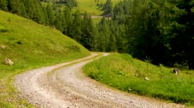 Resimli bir yerde yürüyüş parkurunda. Yürüyüş yolu popüler yüksek dağlık alp yolu manzarası sunuyor. Grossglockner Ulusal Parkı. Avusturya. Yürüyüş, turizm, seyahat