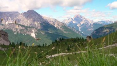 Çimlerin üzerinden görkemli kayalıklara bakın. Dolomit Alpleri. Dağlara odaklan. Çimenler çözüldü. Seçici odak