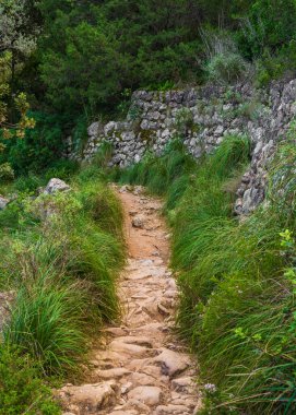 Dar yürüyüş yolu. Taşlı yol Akdeniz çalıları ve seyrek ağaçlarla çevrili kayalık tepelerin arasında esiyor. Mallorca, İspanya 