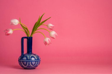 Pembe arka planda mavi vazoda yumuşak pembe laleler. Zarif çiçekler parlak arka planla uyumlu hale gelir ve koyu vazo kompozisyona zıtlık ekler. Hayat, kartpostal. Boşluğu kopyala 