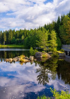 Almanya 'da gökyüzü yansıması olan köknar ağaçları arasında küçük güzel mavi bir dağ gölü. Fichtelsee 'de. Bavyera