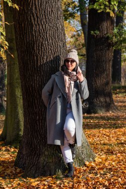 Palto giymiş şık bir kadın, yün şapkalı, ağacın yanında duran güneş gözlüklü. Hanımefendi sonbaharın son sıcak günlerinin tadını çıkarıyor..