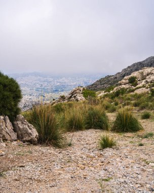 Ciera de Tramuntana 'nın görkemli uçurumları çam ağaçlarıyla kaplı Mallorca dağları. Resimli bir manzara. Balear Adaları.