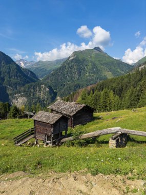Alp çayırlarının ortasında eski bir ahşap ev, yeşil çimlerle, çiçeklerle çevrili, mavi gökyüzünün altında dağ zirveleri olan. Hohe Tauern Ulusal Parkı, Avusturya