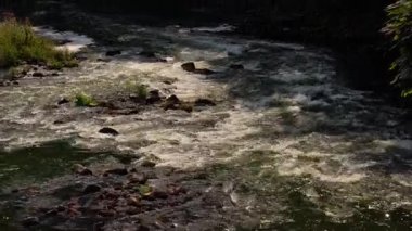 Nehre düşen resim gibi bir şelale. Çalkantılı akıntılar köpük, sis yaratır. Atmosfer tazeliği ve doğal güç yaratır..